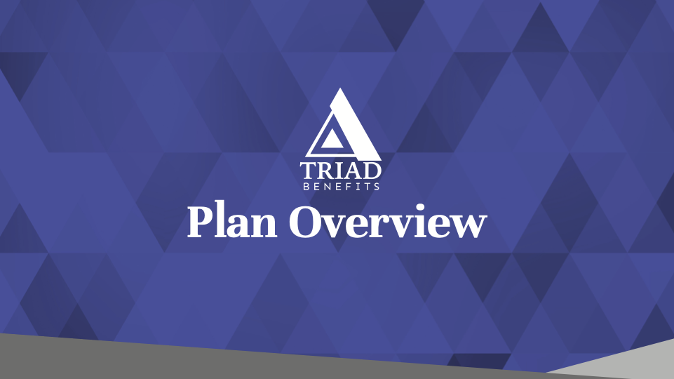 TRIAD_PlanOverview2_26 cover